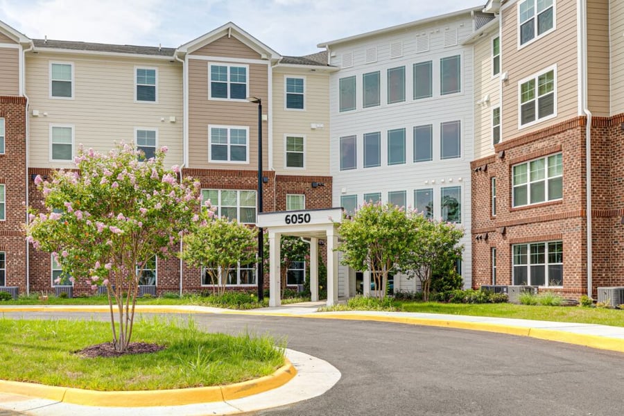 Lorem Ipsum Today: Applications and Adaptations